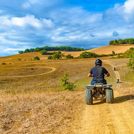 Mobil-home Cosy, Ideal Pour 4 Pers. - Api-1-52-1744 * Gondrin